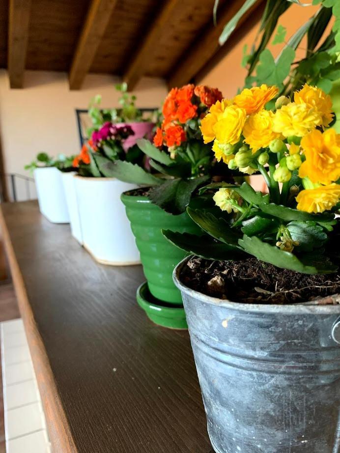 Masia De La Serra De La Cogulla Penarroya De Tastavins Bagian luar foto