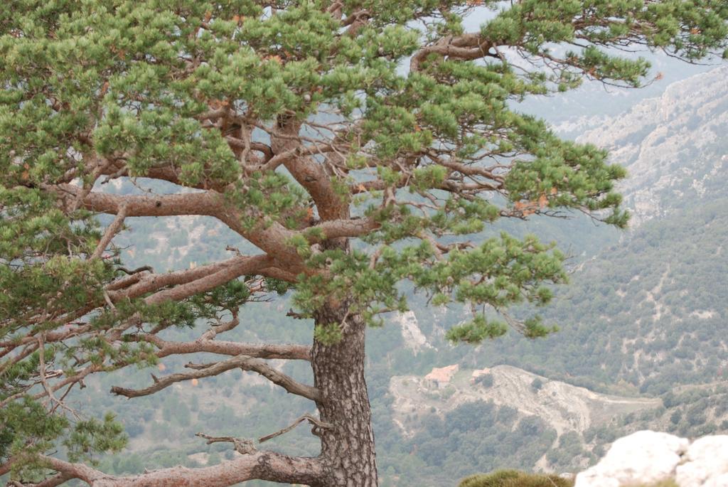 Masia De La Serra De La Cogulla Penarroya De Tastavins Bagian luar foto